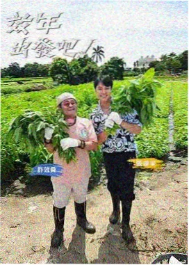 爆笑实验室短剧综艺在线看